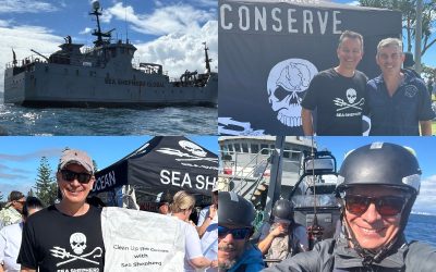 On board with charity partner, Sea Shepherd